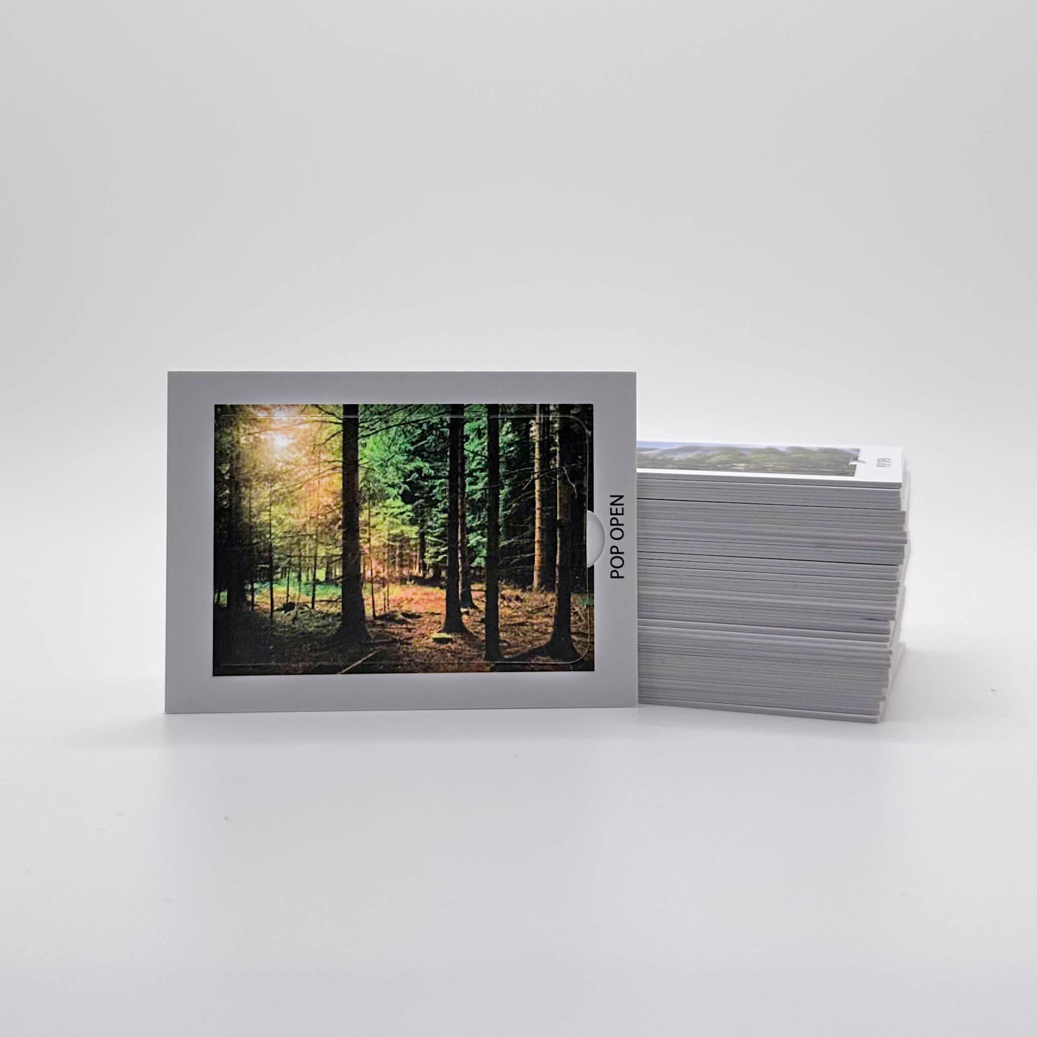 Nature Edition | Bible Verse Pop Open Cards