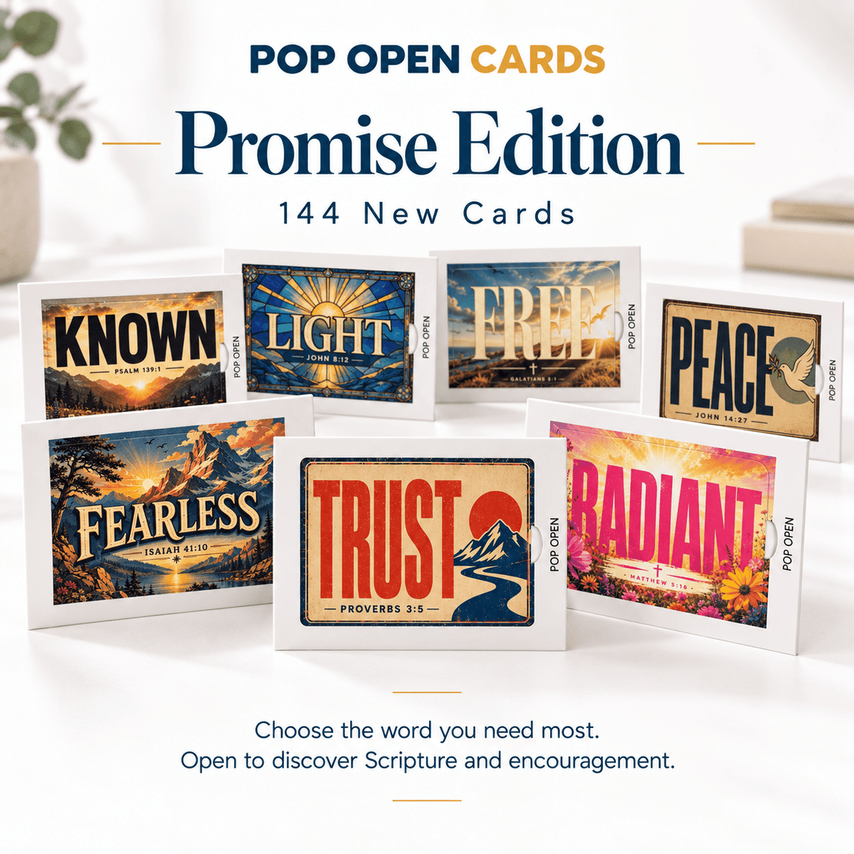Promise Edition