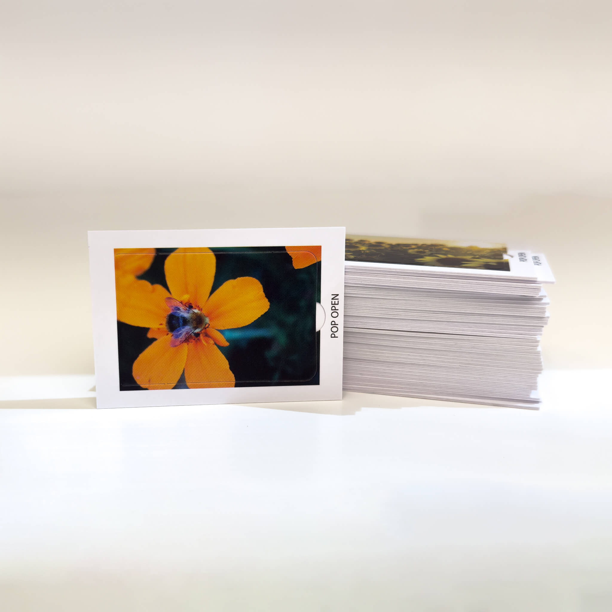 Floral Edition - Pop Open Cards