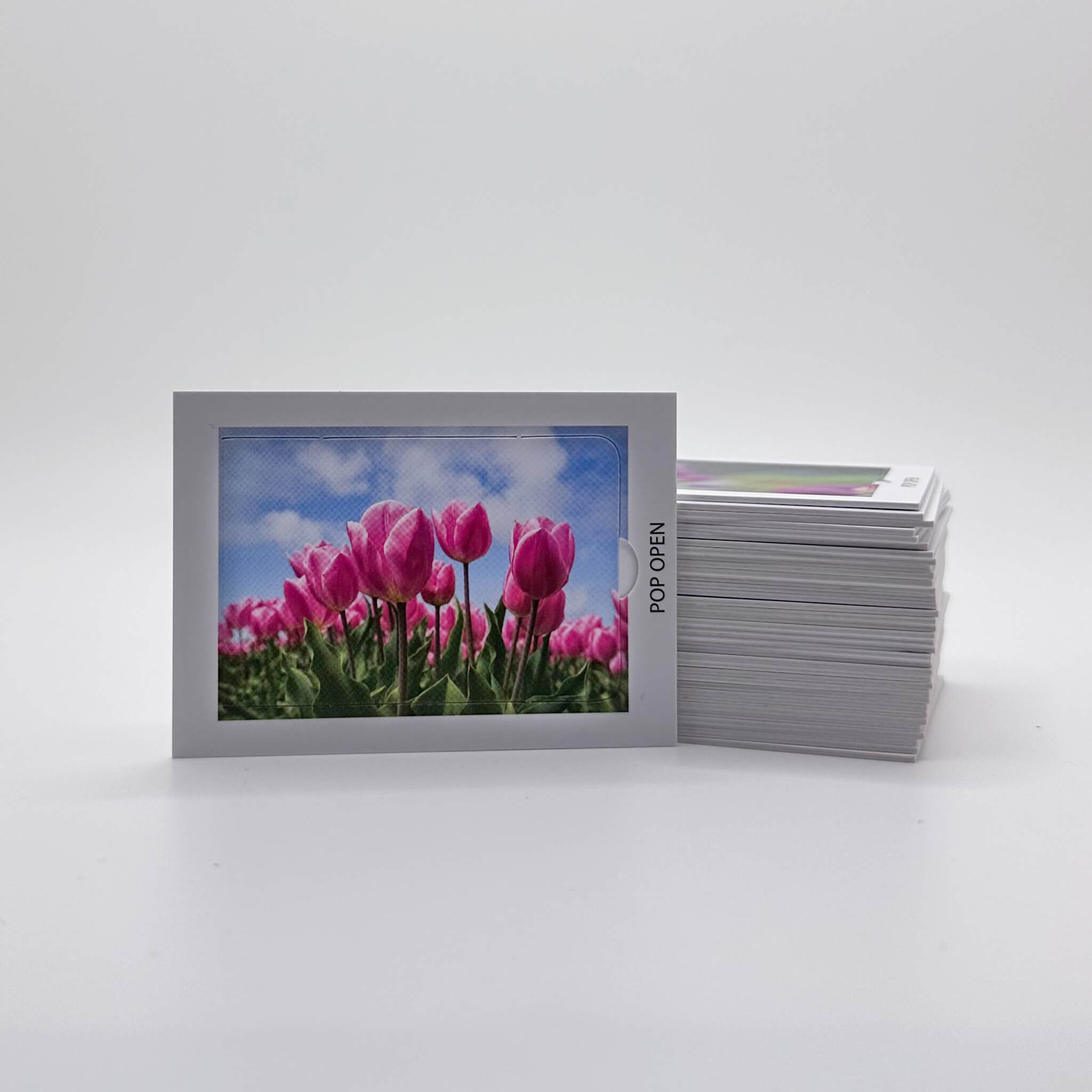 Floral Edition - Pop Open Cards