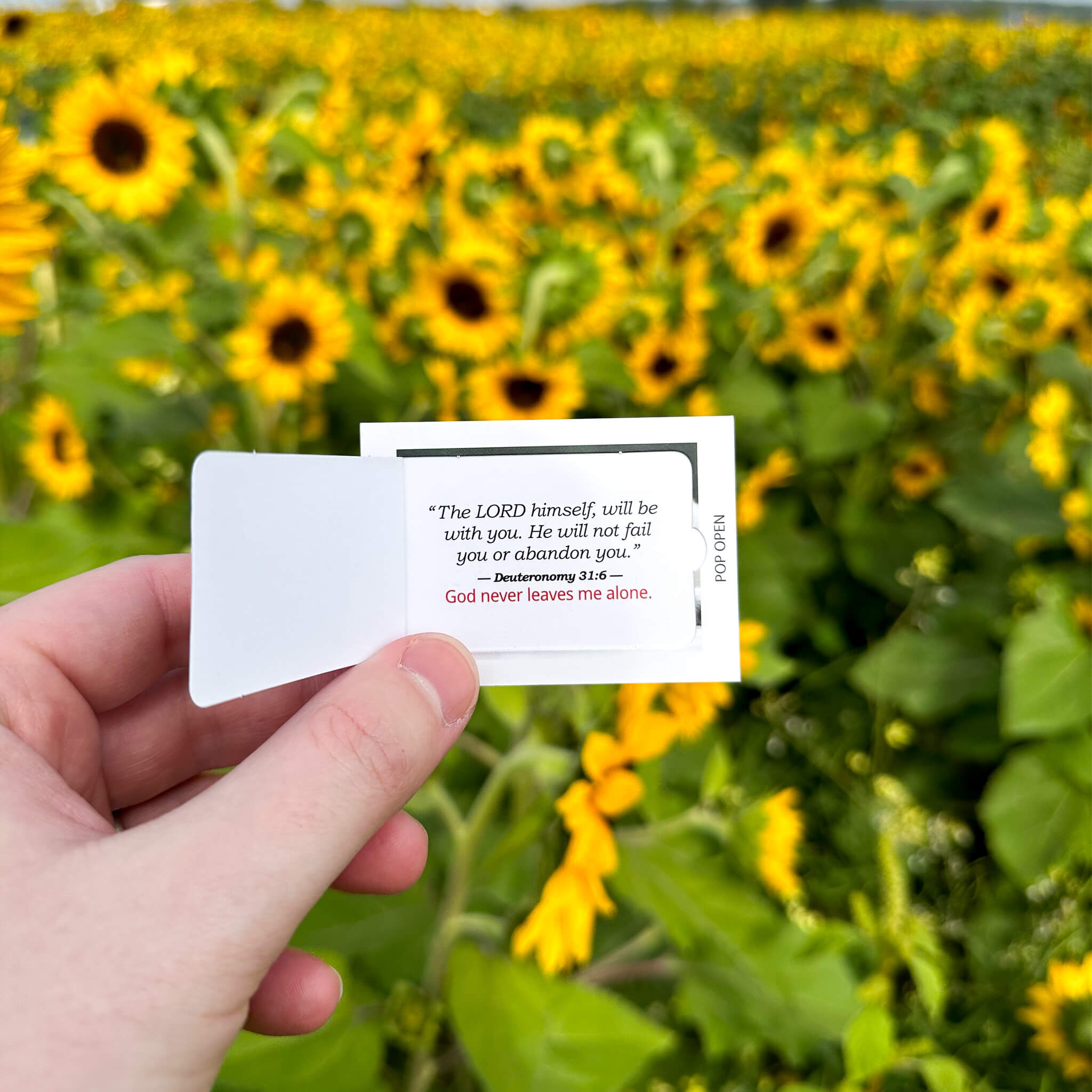 Floral Edition - Pop Open Cards