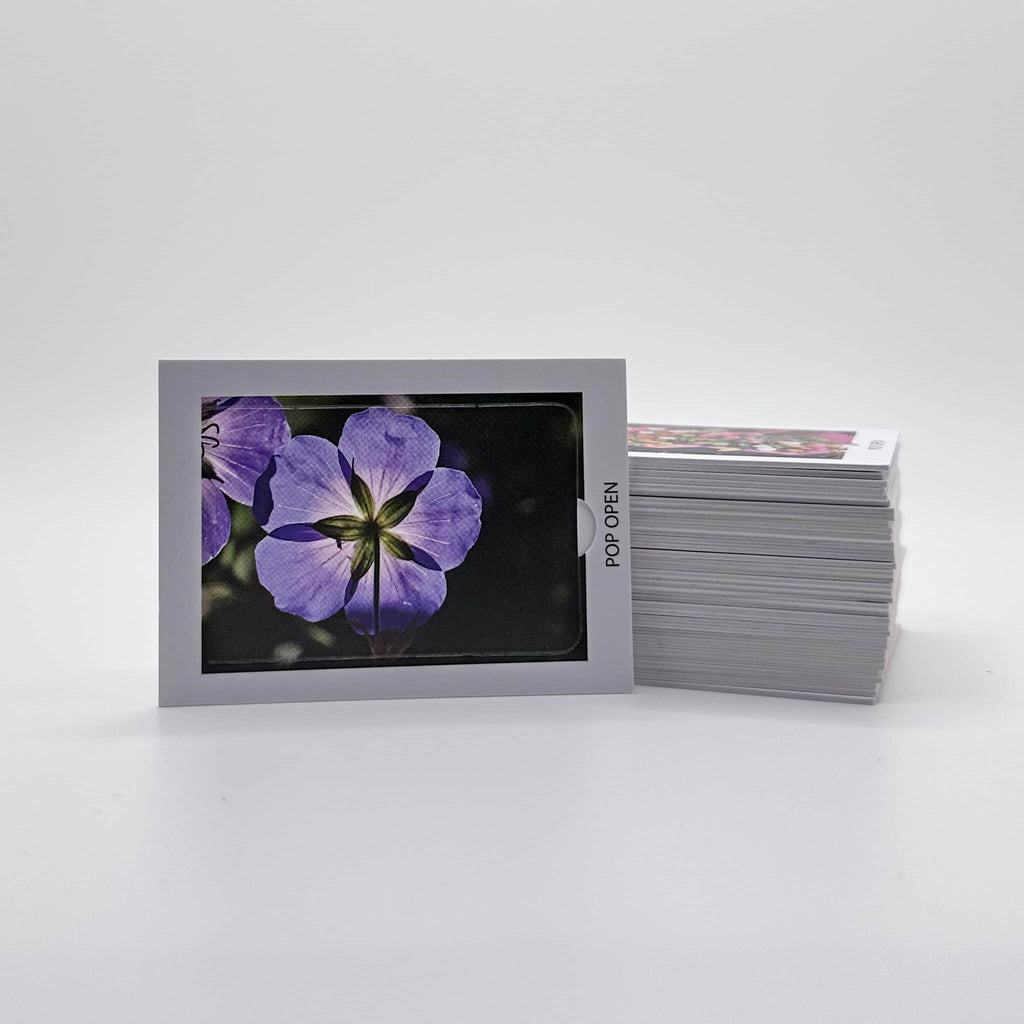 Floral Edition - Pop Open Cards