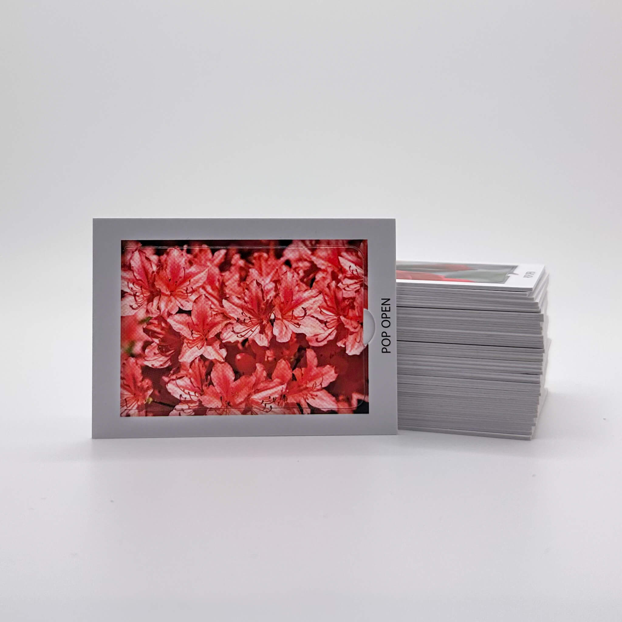 Floral Edition - Pop Open Cards