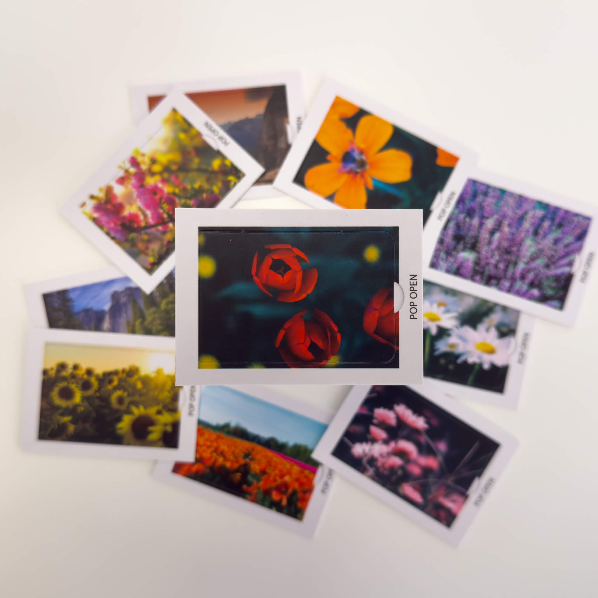 Floral Edition - Pop Open Cards