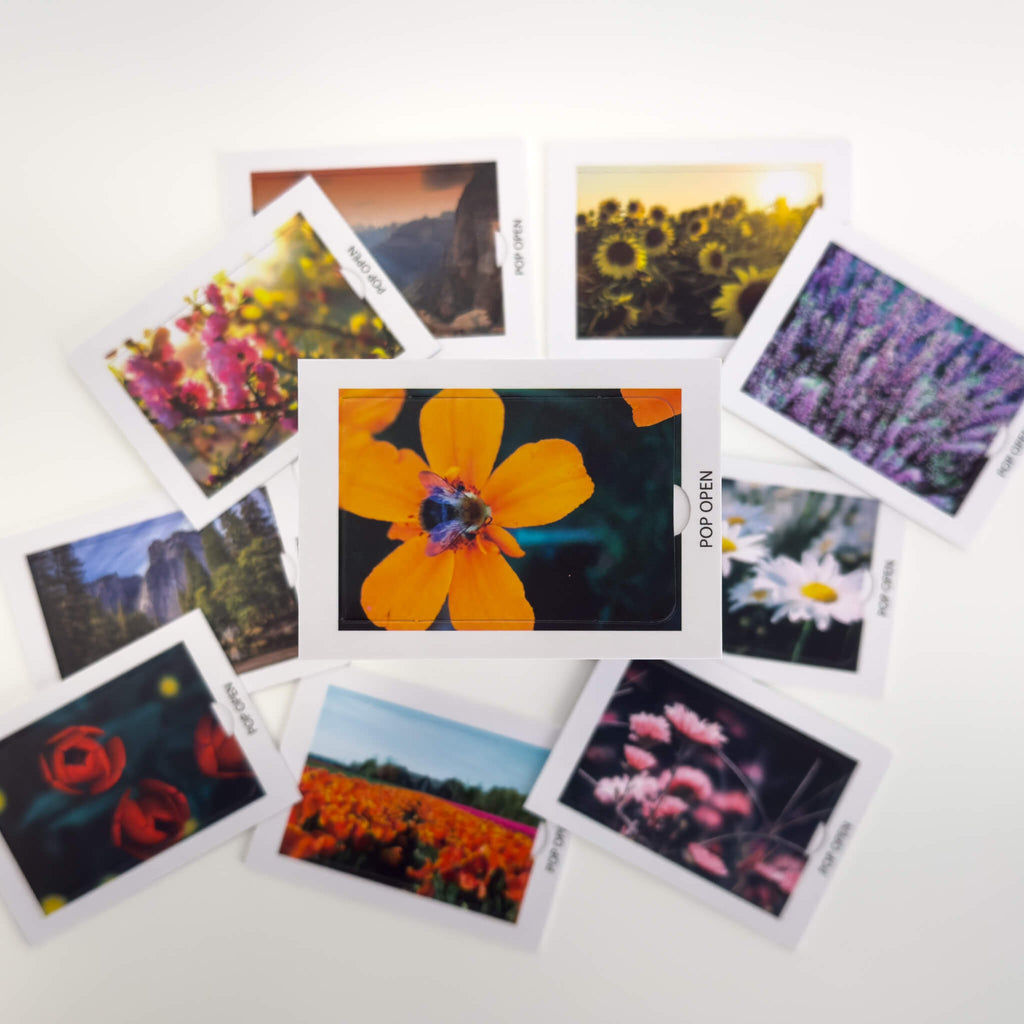 Floral Edition - Pop Open Cards