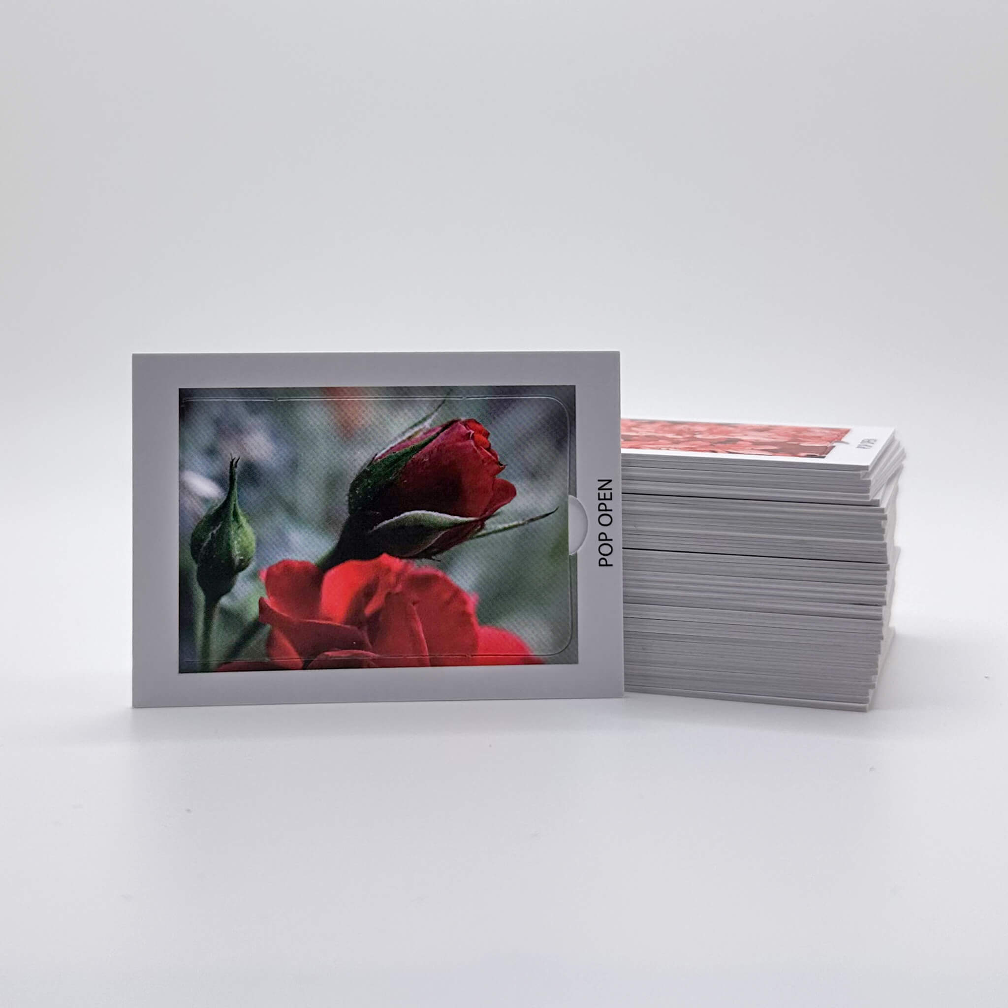 Floral Edition - Pop Open Cards