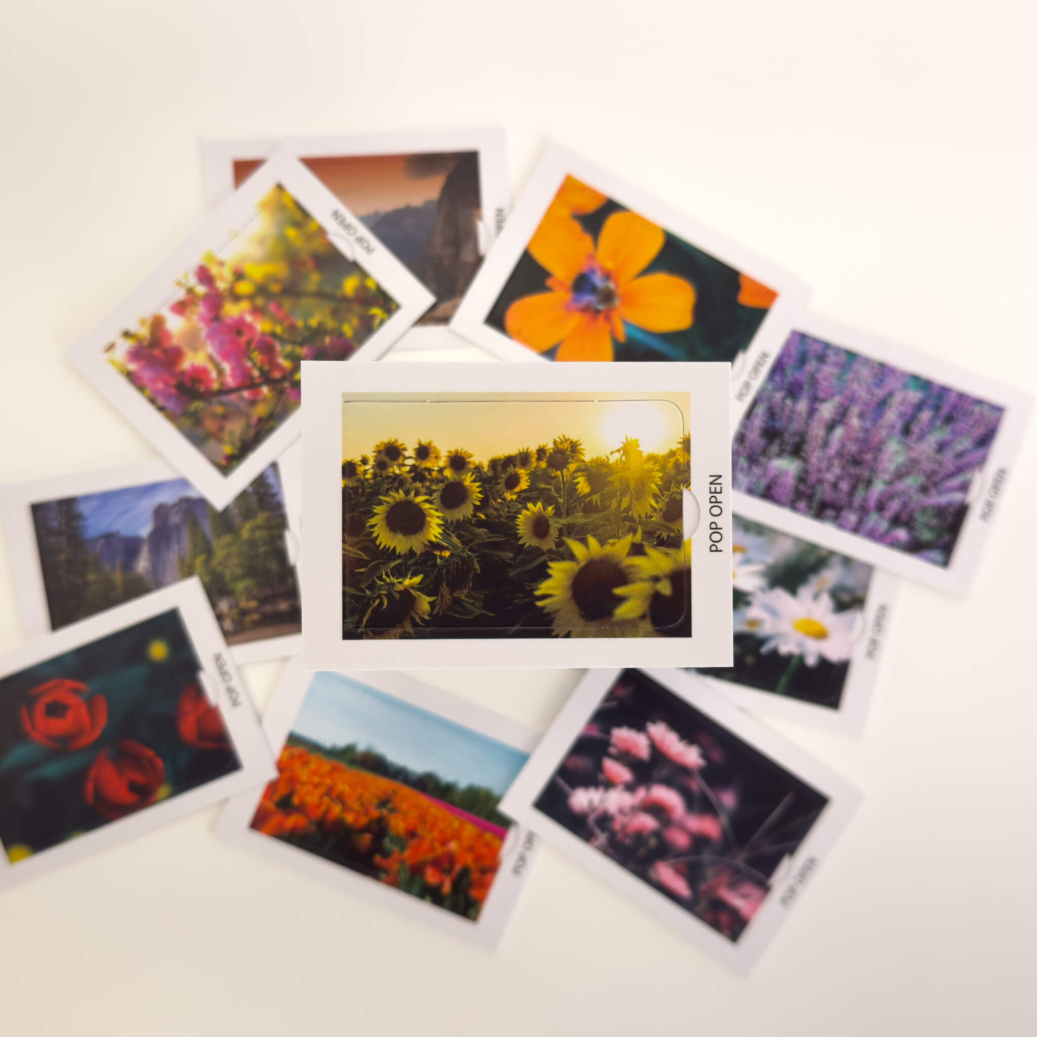 Floral Edition - Pop Open Cards