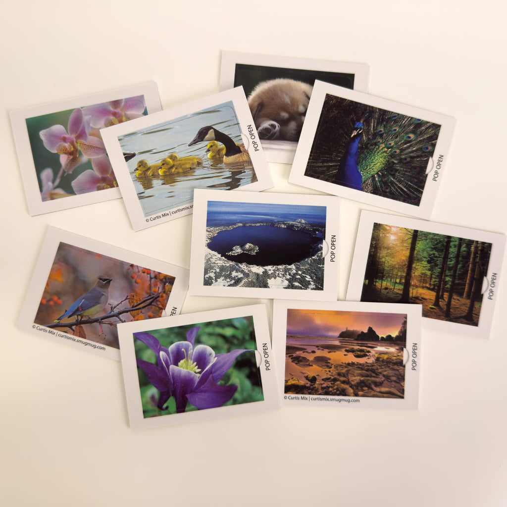 Nature Edition - Pop Open Cards