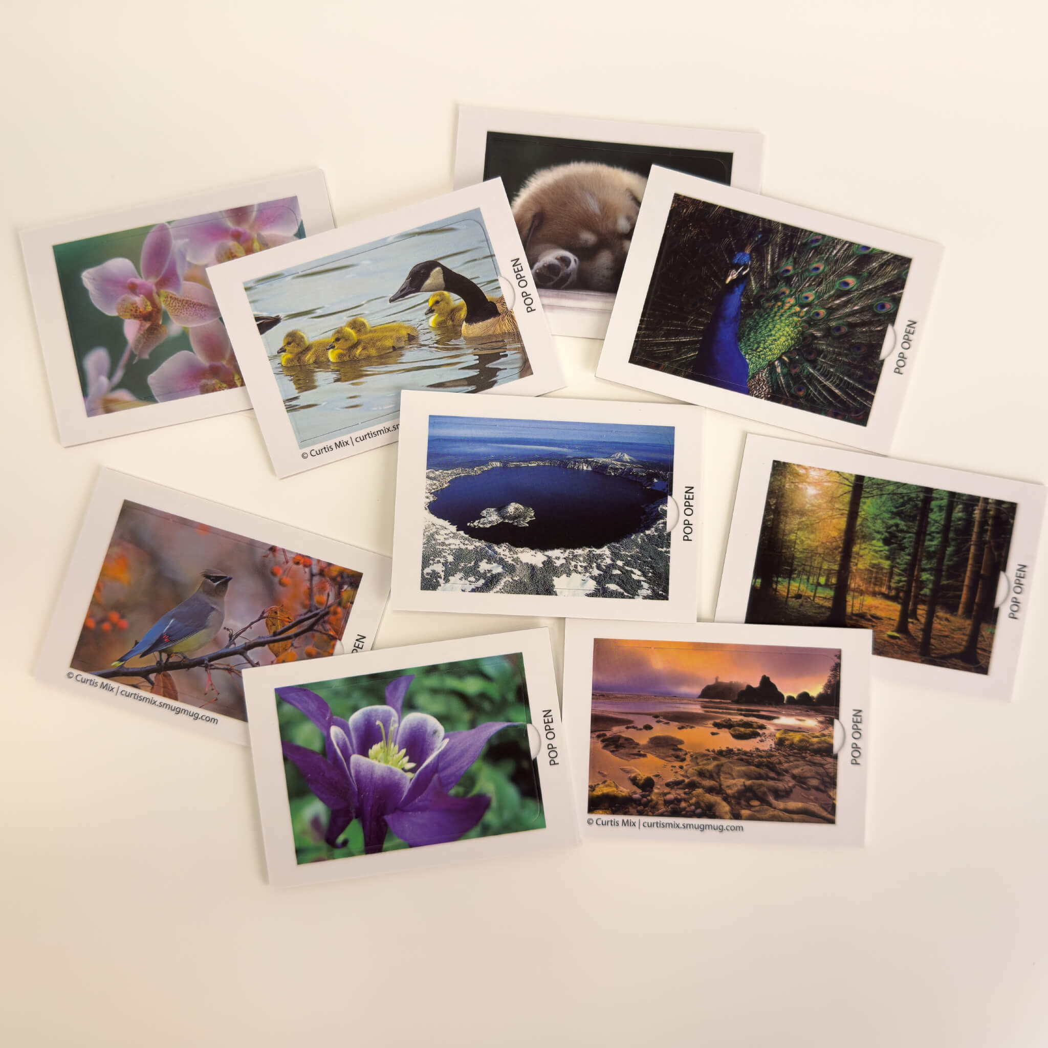 Nature Edition - Pop Open Cards