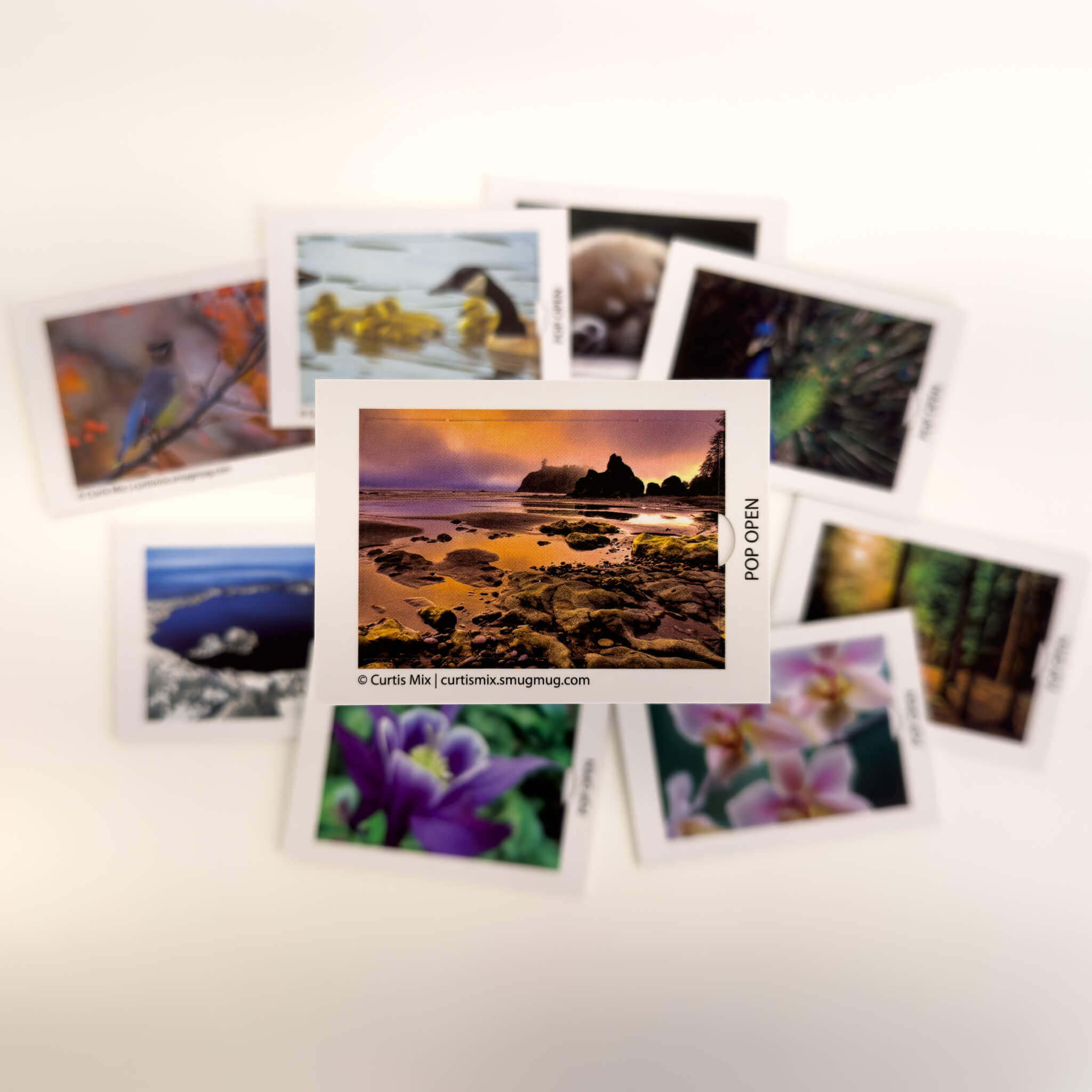 Nature Edition - Pop Open Cards