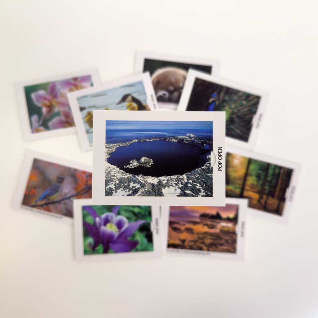 Nature Edition - Pop Open Cards