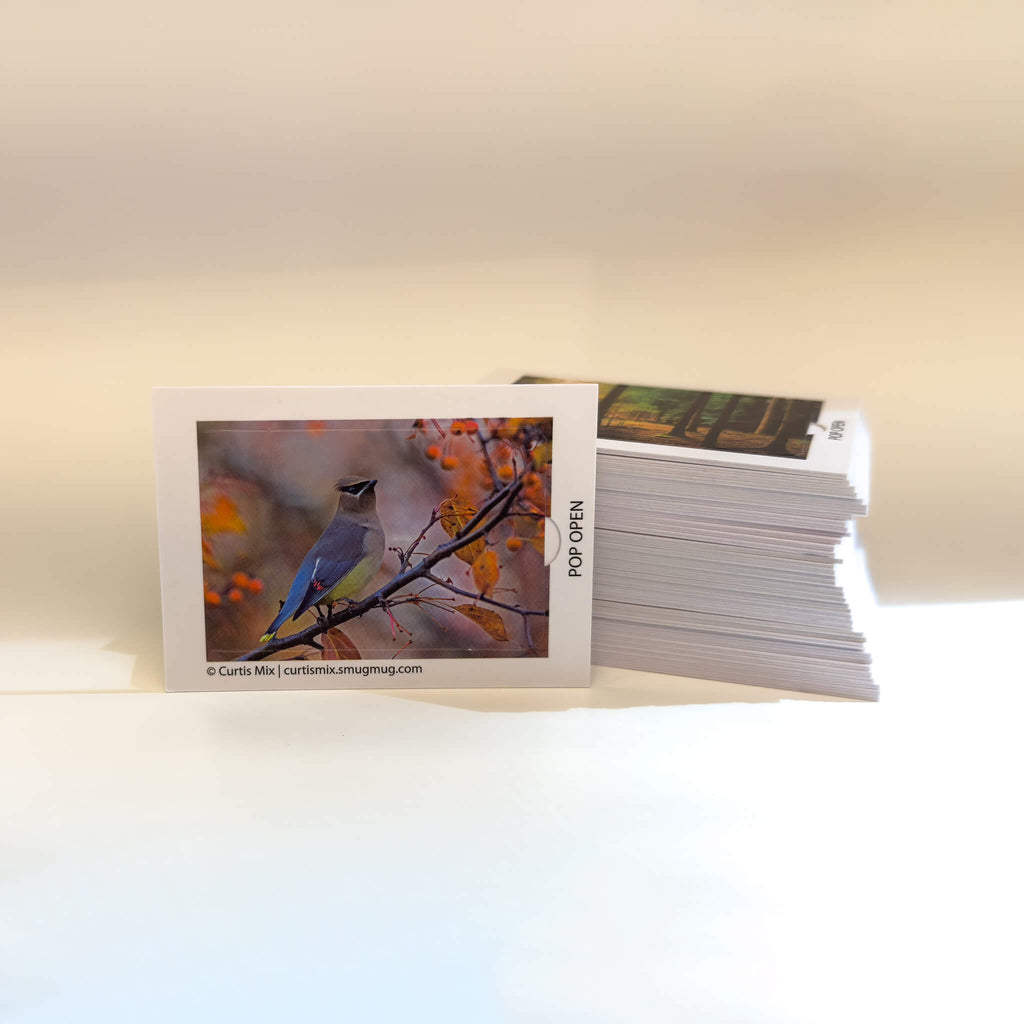 Nature Edition - Pop Open Cards