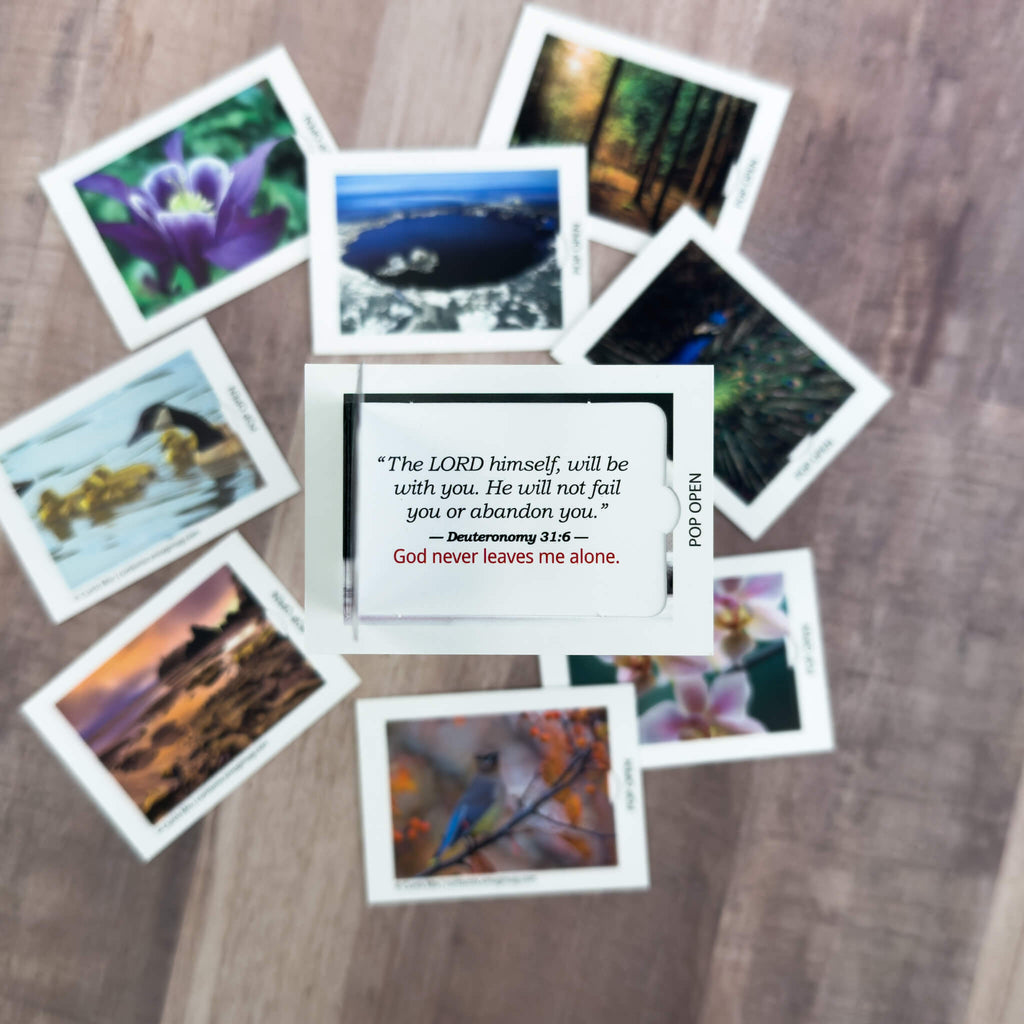 Sample Pack - Pop Open Cards