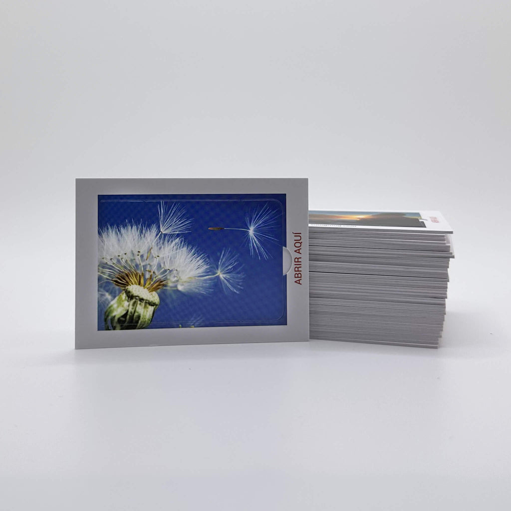 Spanish Edition (Edición en español) - Pop Open Cards