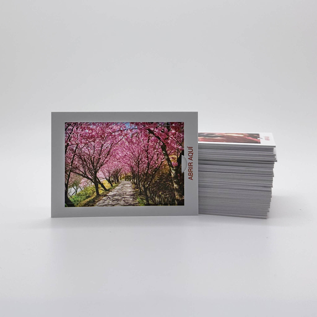 Spanish Edition (Edición en español) - Pop Open Cards