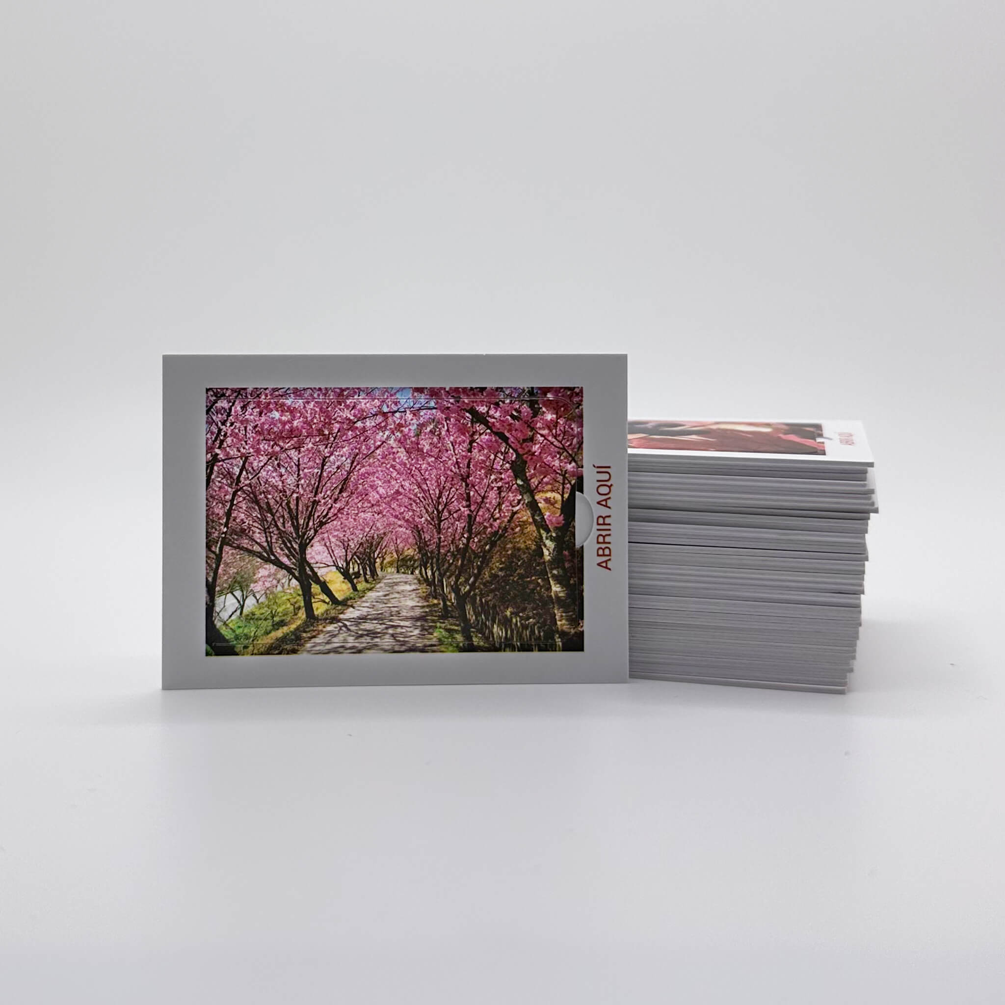 Spanish Edition (Edición en español) - Pop Open Cards