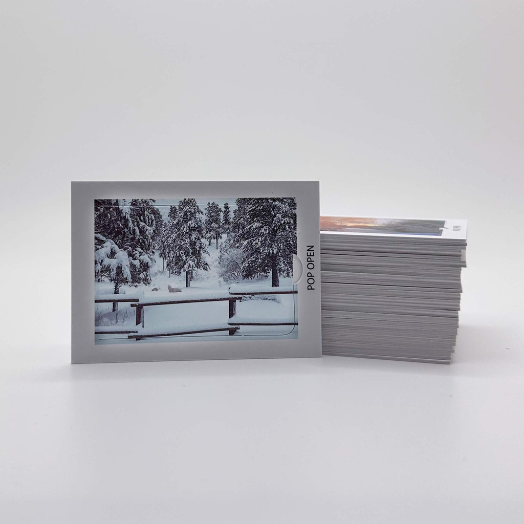 Winter Edition - Pop Open Cards